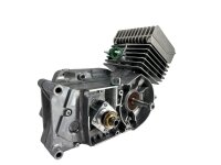 Neumotor 70ccm Sport